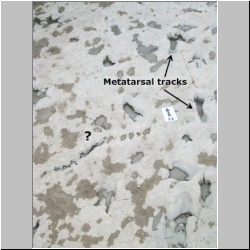 100_0924 (2009-27-07)m-labeled.jpg